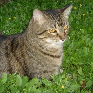 Meet your Posher, Cristina